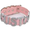 Rhinestone Custom Collar