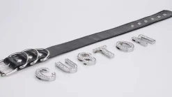 Rhinestone Custom Collar