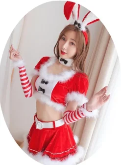 Santa Bunny Outfit