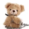 Snuggly Teddy Bag