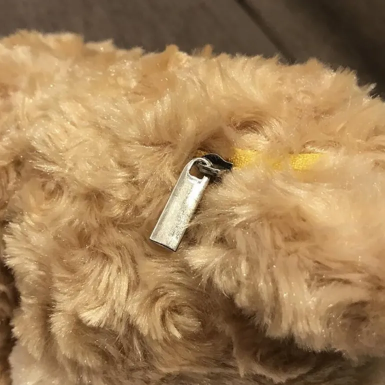 Snuggly Teddy Bag