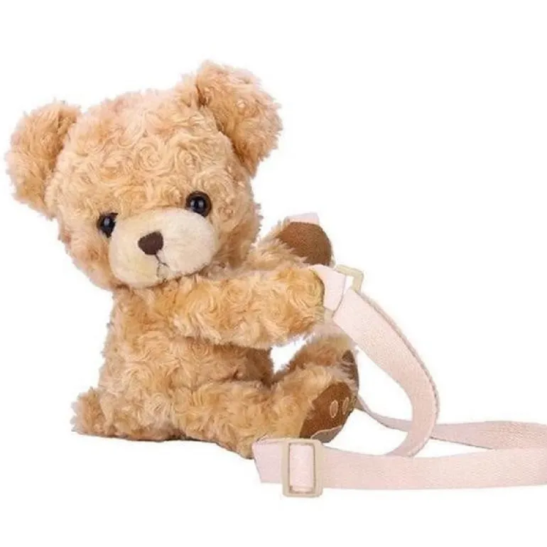 Snuggly Teddy Bag