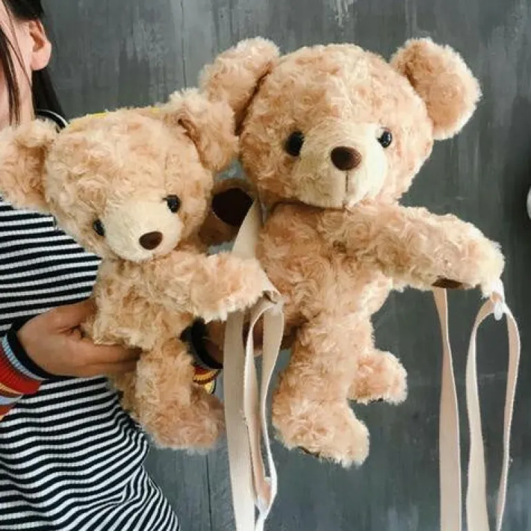 Snuggly Teddy Bag