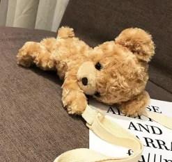 Snuggly Teddy Bag