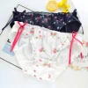 Strawberry Field Panties