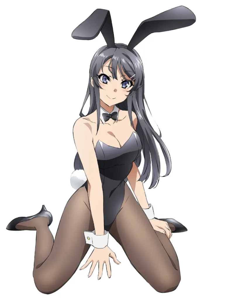 Suited Up Bunny Outfit (Mai Sakurajima)