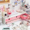 Sweet Heart Pink Storage Rack