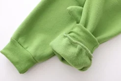 Sweet Japanese Dino Hoodie