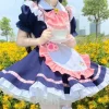Tea Time Maid Dress